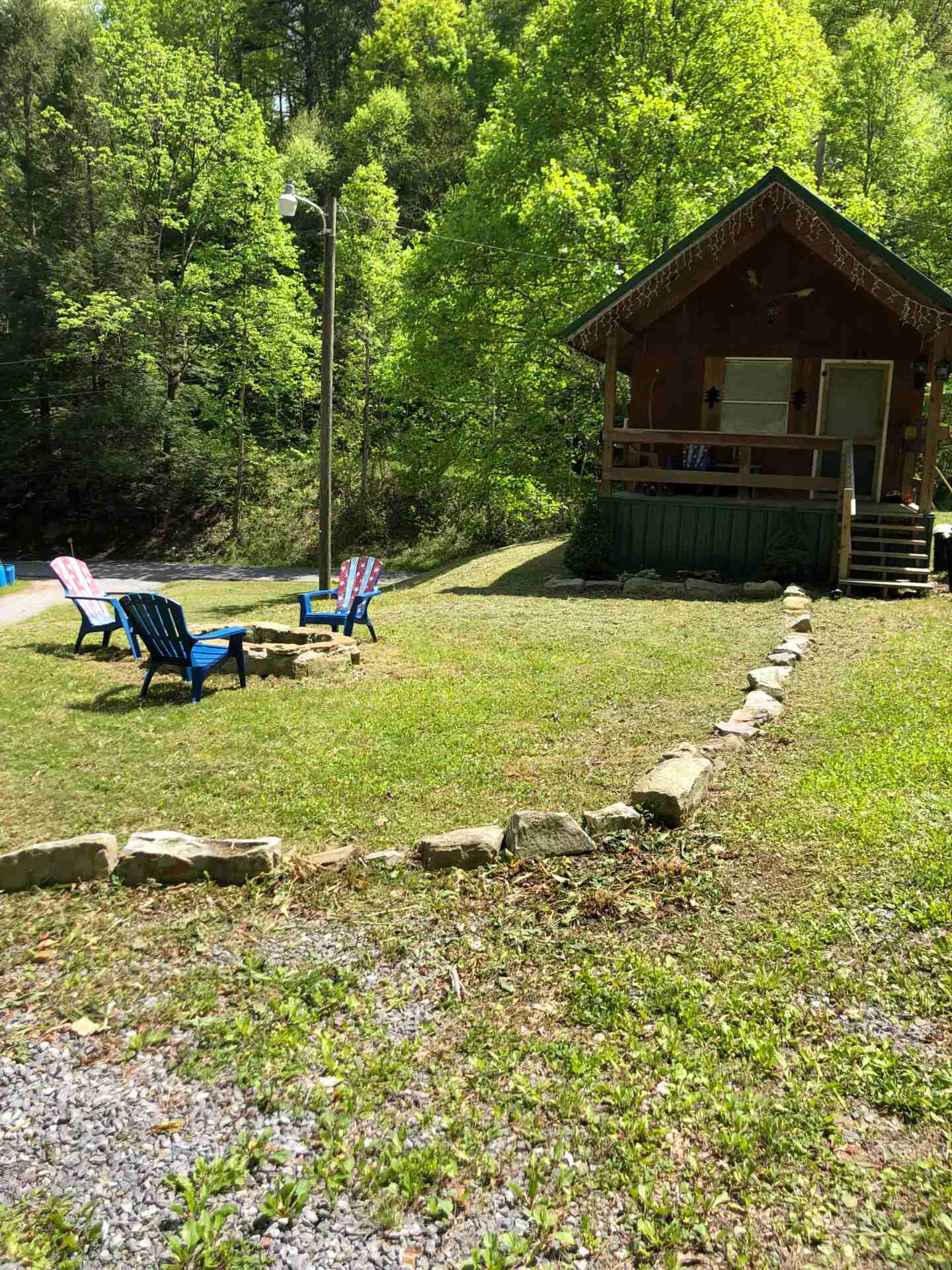 Bear Hugs Cabin house in jungle